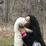 Future Verterinarian, need someone that you can trust with experience choose me!
