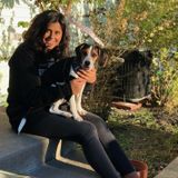 Pet Groomer,sitter,overnight,walking,cleaning, caretaker for children & animals!
