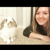 Hard Working Bunny Sitter!