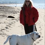 Costa Mesa House Sitter Searching for Hire in California