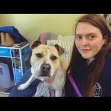 Im Sarah and I strive to make you and your pets feel as safe and comfortable as possible! :)