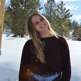 Searching for a Pet Carer Job in Bozeman or Belgrade, Montana