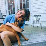 Reliable nanny or babysitter