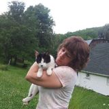 We take care of your pets the same way we would want our pets taken care of if we were traveling!