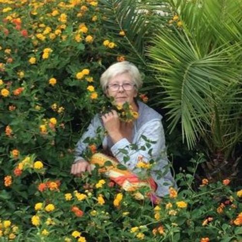 Housekeeper Provider Nina L's Profile Picture