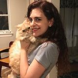 Available: Responsible and Loving Petsitter in Washington D.C.