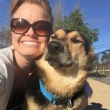 Experienced & trustworthy nanny