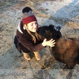 Animal Lover Looking to Provide Excellent Care :)