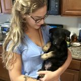 Seeking Jacksonville Dog Sitter Jobs