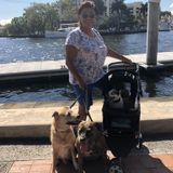 Fort Lauderdale Dog Sitting Professional Available For Job Opportunities in Florida