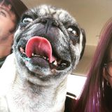Available: Great Animal Caregiver in Dickinson