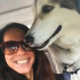 Enthusiastic trusted dog walker