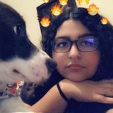Pet pal by day, Animal ally by night!