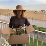 Mature, professional pet and house sitter available in VA beach area