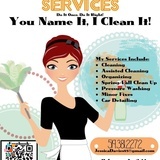 Davies Cleaning Services- do it once do it right