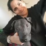 Pets are the most beautiful energy
