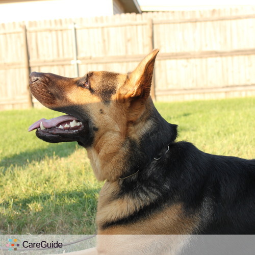 Pet Care Provider Pet Sitting Available's Profile Picture