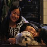 Seeking Irvine Pet Sitting Professional, California Jobs