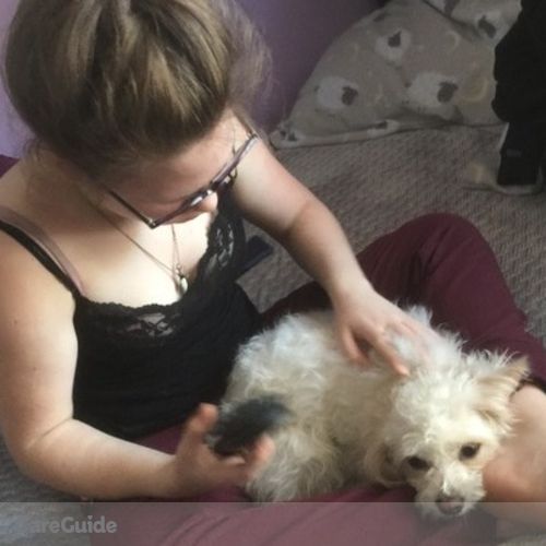 Pet Care Provider Lauren E's Profile Picture
