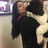 Consistent Petsitter for Your Home