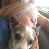 Skillful Pet Sitting Available
