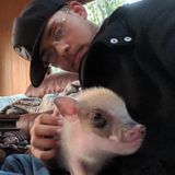 Monterey Pet Walker/Sitter/Trainer Available For Hire in California (Both foreign and domestic)