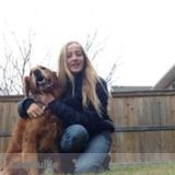 Pet Sitting and Dog Walking