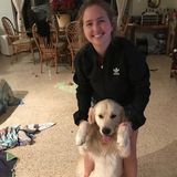 Qualified Dog walker & Dog sitter in Miami Beach