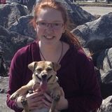 Pet Lover Looking For Work