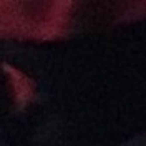 House Sitter Provider Andrea J's Profile Picture