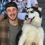 Capable House Sitting Provider in illinois