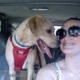 The pet sitter for your family
