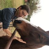 For Hire: Hardworking Pet Trainer in Enterprise, Alabama