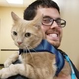 Reliable Pet Sitter