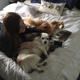 Dog walker/ In house pet sitter