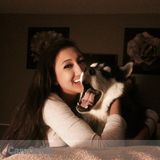 Dog Sitter/Dog Walker
