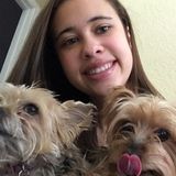 Animal Lover who wants to watch your fur babies!
