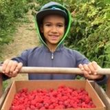 Looking for a great Babysitter/Nanny for a great eight year old.