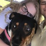 Caring Pet Sitter in Louisburg
