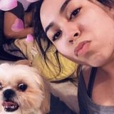 Looking For Dog Sitting Job Near Deer Park