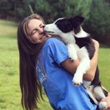 Let Me Play With Your Dogs in Anderson