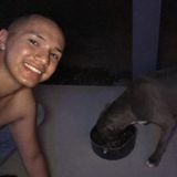 Upland Pet Sitter Interested In Work in California