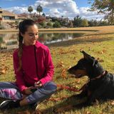 Veterinarian pet sitter / Walker / Overnight care: Scottsdale Petsitter Interested In Being Hired