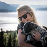 Pet Carer Available