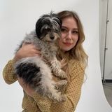 For Hire: Reliable and capable House and Petsitter in West Hollywood