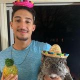 Barrington House and Petsitter Interested In Work in Illinois