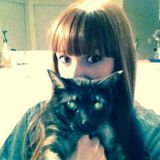 Pet services offered in New Port Richey