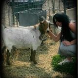 Hardworking pet caretaker , Massapequa NY