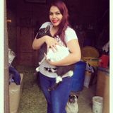 Pet Sitting Offered in Montebello