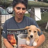 Nurse/vet tech